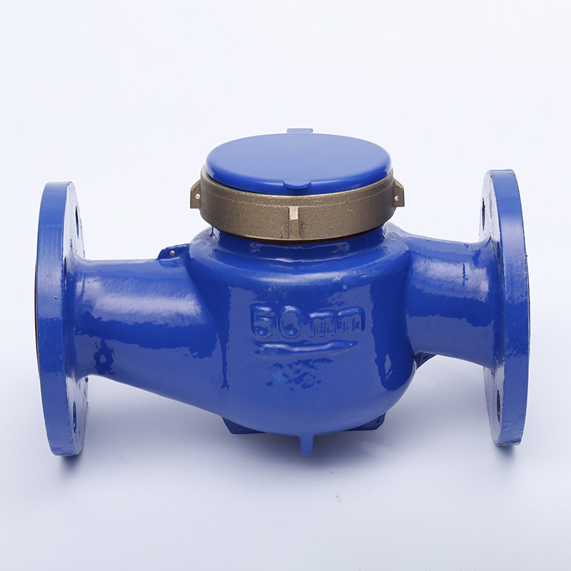 Multi Jet Water Meter